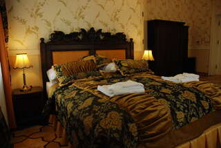 Отель Hotel Pałac Borynia Ястшембе-Здруй Двухместный номер Делюкс с 1 кроватью или 2 отдельными кроватями-3
