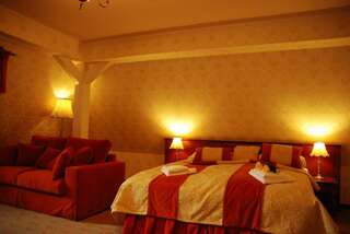 Отель Hotel Pałac Borynia Ястшембе-Здруй Стандартный двухместный номер с 1 кроватью или 2 отдельными кроватями-9